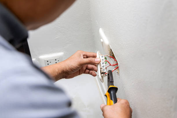 Best Electric Panel Repair  in Clton, IN